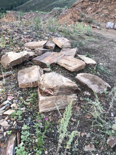 Плитняк кора дерева 50-100мм для пошаговых дорожек купить в Симферополе